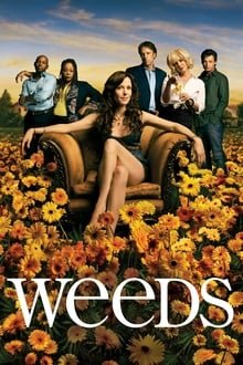 მოსაწევი სეზონი 8 / Weeds Season 8 ქართულად