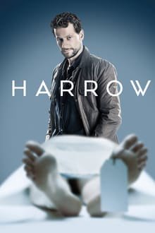 ექიმი ჰაროუ სეზონი 2 / Harrow Season 2 (Eqimi Harou Qartulad) ქართულად