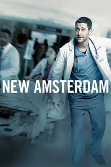 ახალი ამსტერდამი სეზონი 1 / New Amsterdam Season 1 ქართულად