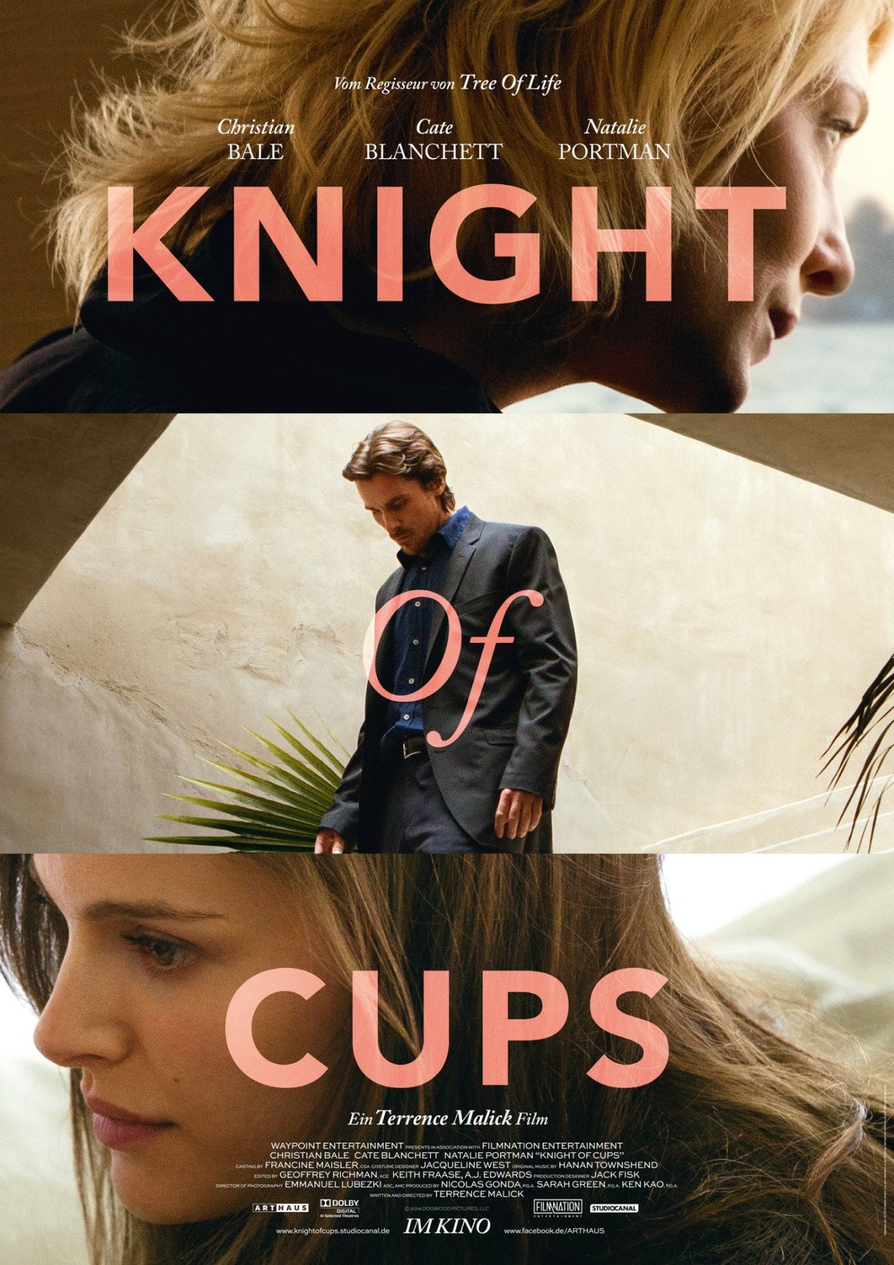 თასების რაინდი / Knight of Cups ქართულად