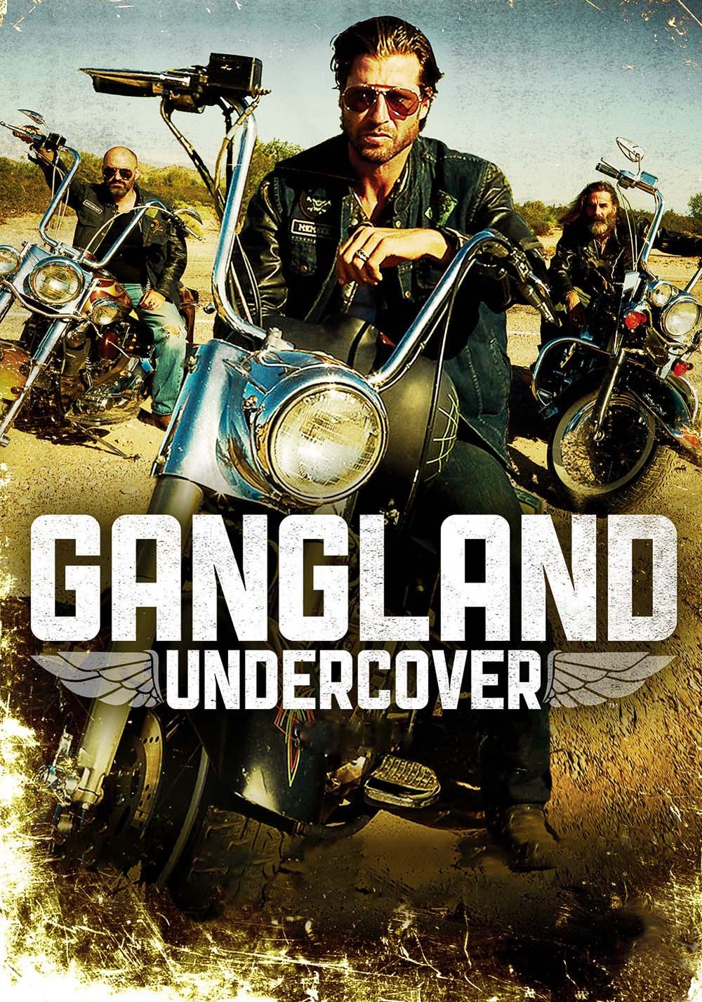 საფარქვეშ სეზონი 2 / Gangland Undercover Season 2 ქართულად