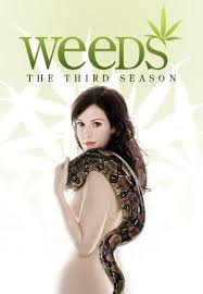 მოსაწევი სეზონი 3 / Weeds Season 3 ქართულად