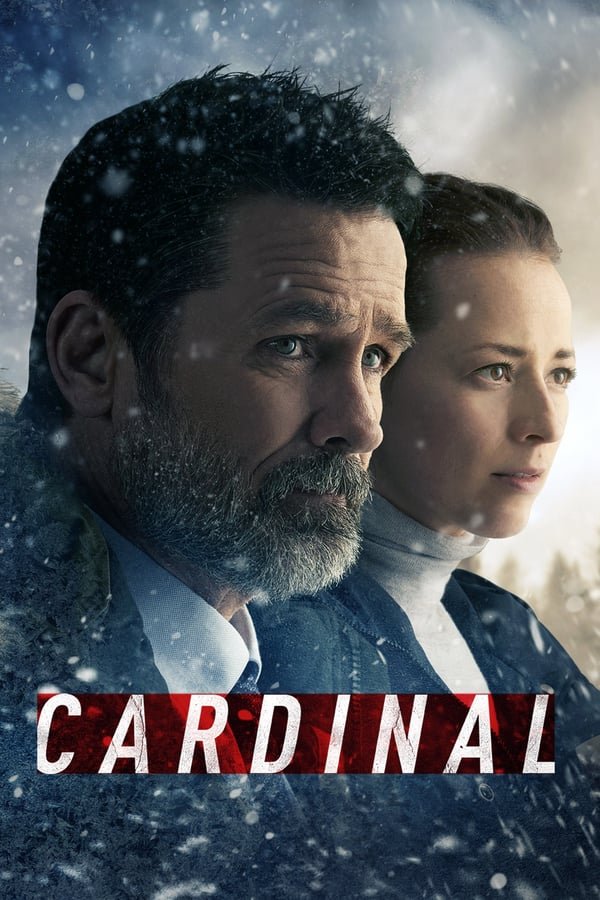 კარდინალი სეზონი 4 / Cardinal Season 4 ქართულად