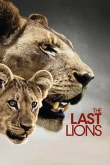 უკანასკნელი ლომები The Last Lions