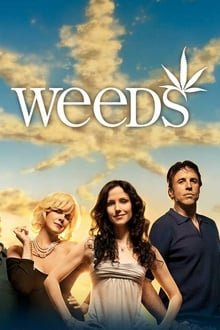 მოსაწევი სეზონი 4 / Weeds Season 4 ქართულად