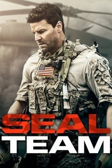 ზღვის ლომები სეზონი 2 / SEAL Team Season 2 ქართულად