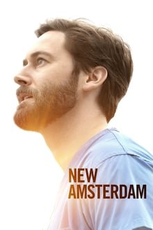 ახალი ამსტერდამი სეზონი 3 / New Amsterdam Season 3 ქართულად