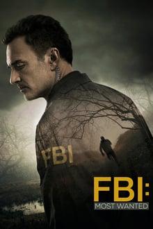 გამოძიების ფედერალური ბიურო: იძებნება / FBI: Most Wanted (Gamodziebis Federaluri Biuro: Idzebneba Qartulad) ქართულად