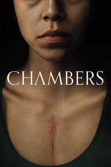პალატები სეზონი 1 / Chambers Season 1 (Palatebi Sezoni 1) ქართულად
