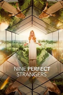 ცხრა იდეალური უცნობი / Nine Perfect Strangers (Cxra Idealuri Ucnobi Qartulad) ქართულად