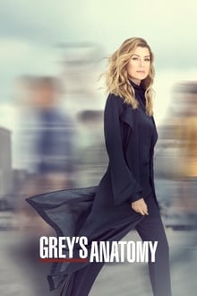 გრეის ანატომია სეზონი 18 / Grey's Anatomy Season 18 (Greis Anatomia Sezoni 18) (Greis Anatomia Qartulad) ქართულად