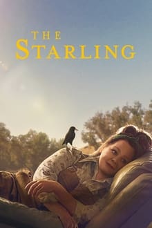 შოშია / Shoshia / The Starling