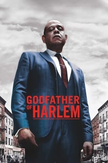 ჰარლემის ნათლია / Godfather of Harlem (Harlemis Natlia Qartulad) ქართულად