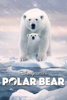 პოლარული დათვი / Polar Bear (Polaruli Datvi Qartulad) ქართულად